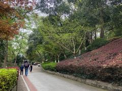 -北极阁公园
