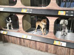 -宠物世家(仲盛世界商城店)