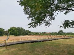 -盘龙城国家考古遗址公园