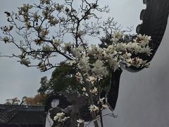 -豫园