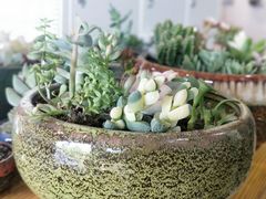 -SAH健身私教工作室(紫东店)