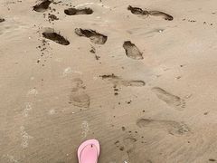 -渔寮风景区