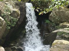 -大围山国家森林公园