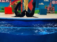 -成都浩海立方海洋公园