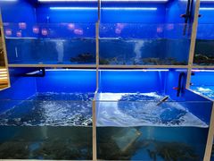 -阿尔法海鲜排档(爱琴海店)