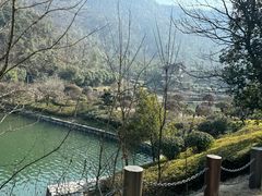 -桃花岭景区