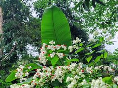 -行人小筑·茶馆(岑村火炉山分店)