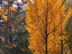 -河南省黄河迎宾馆