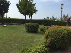 -武清南湖绿博园