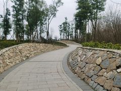 -白鹭湾湿地公园