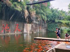 -千岛湖东南湖区