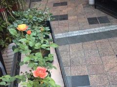 -先机泉水鸡汤(南山老君洞店)