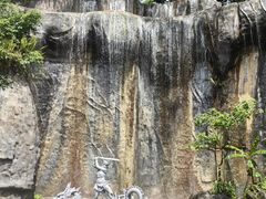 -西双版纳原始森林公园