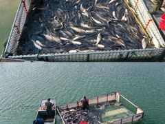 -南京金牛湖风景区