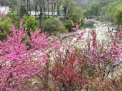 -太平万花山景区