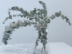 -花沐 FLOWER BATH(凤凰城店)
