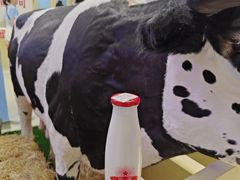 -红星前进面包牛奶公司(君太店)