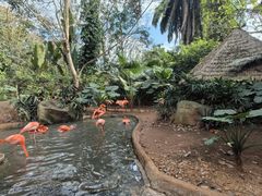 -海南热带野生动植物园