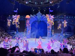-海合安武汉极地海洋公园