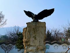 -阳台山自然风景区