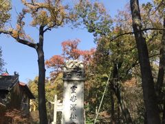 -灵谷景区