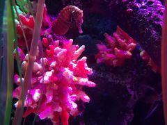 -沈阳海洋探索中心