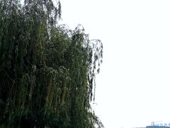 -郑东新区龙湖公共艺术中心