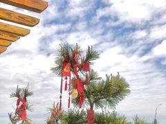 -莲花山观景台