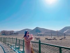 -新疆天山野生动物园