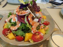 -果仁·意大利餐厅(财富广场店)