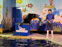 -太平洋海底世界