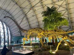 -辽宁古生物博物馆