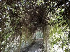 -中国科学院西双版纳热带植物园