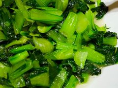 -阿露佳·舌尖上的安吉菜