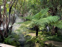 -Chom Cafe and Restaurant