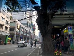 -周生记太爷鸡(文明路店)