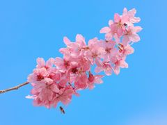 -东方体育中心(地铁站)