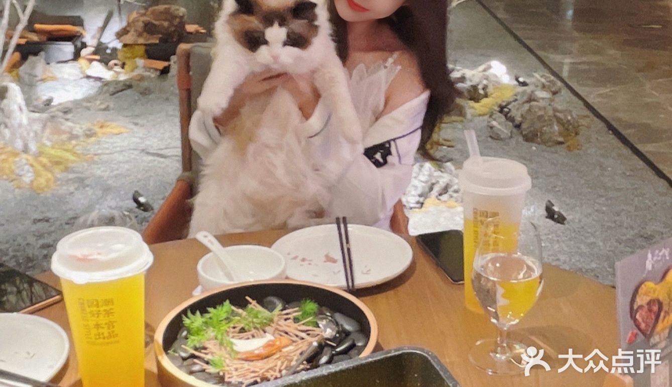 带着吕布来这个家仙气飘飘的餐厅吃饭啦
