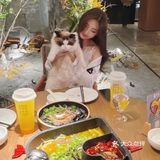 带着吕布来这个家仙气飘飘的餐厅吃饭啦