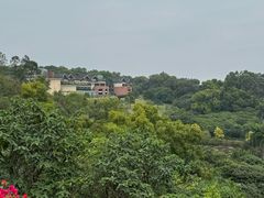 -广州莲花山旅游区