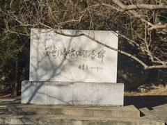 -白水寺森林公园