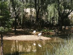 -石家庄市动物园