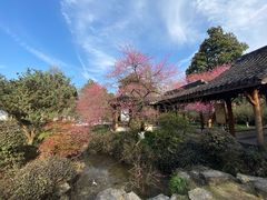 -杭州植物园