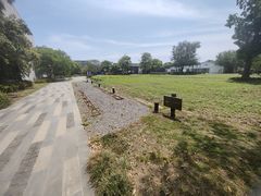 -田园东方蜜桃村的田野营地