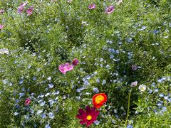 -上海滨江森林公园