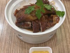 -永記粤菜·五指毛桃花雕鸡煲(九亭店)