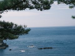-滨千鸟之汤 海舟
