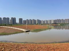 -洋湖国家湿地公园