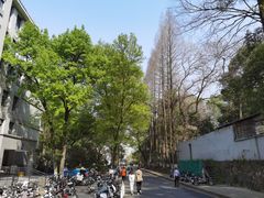 -武汉大学-樱园