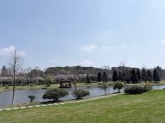 -宜兴龙背山森林公园